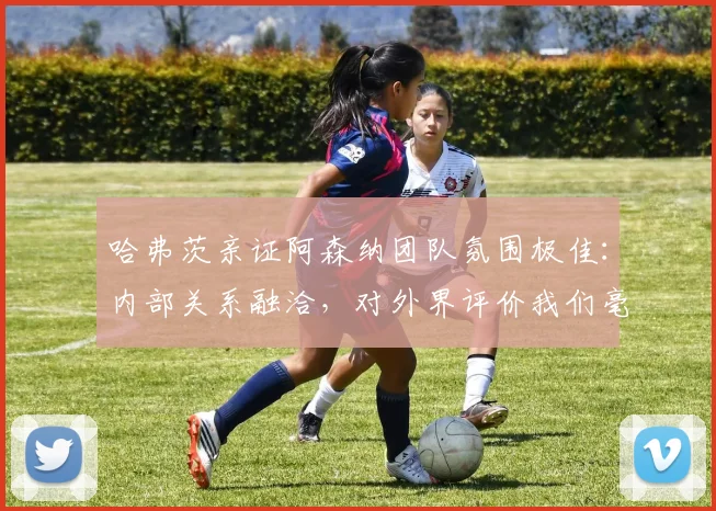 哈弗茨亲证阿森纳团队氛围极佳：内部关系融洽，对外界评价我们毫不在乎（2026赛季心态实录）