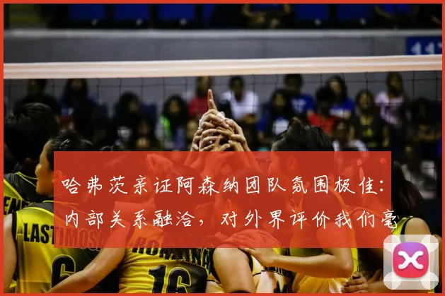 哈弗茨亲证阿森纳团队氛围极佳：内部关系融洽，对外界评价我们毫不在乎（2026赛季心态实录）